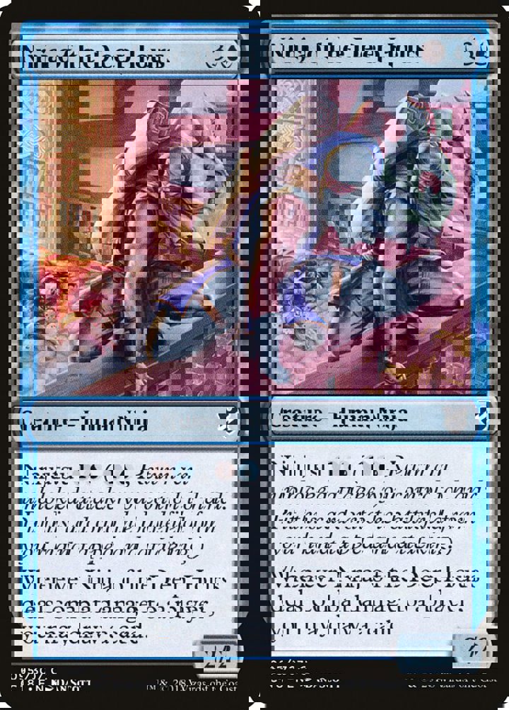 Ninja of the Deep Hours