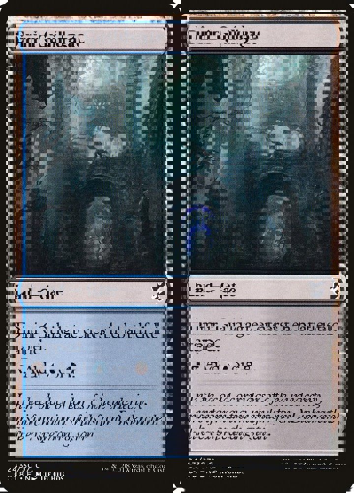 Dimir Guildgate