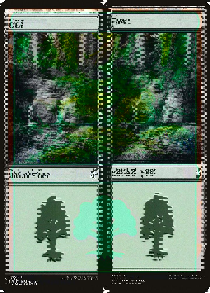 Forest (V.2)