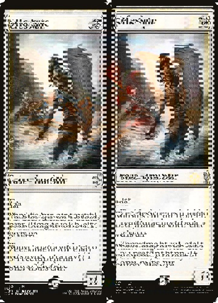 Selfless Squire