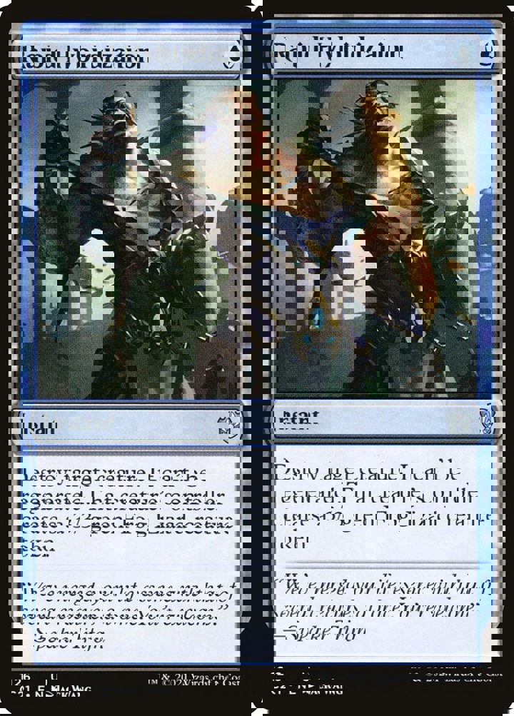 Rapid Hybridization