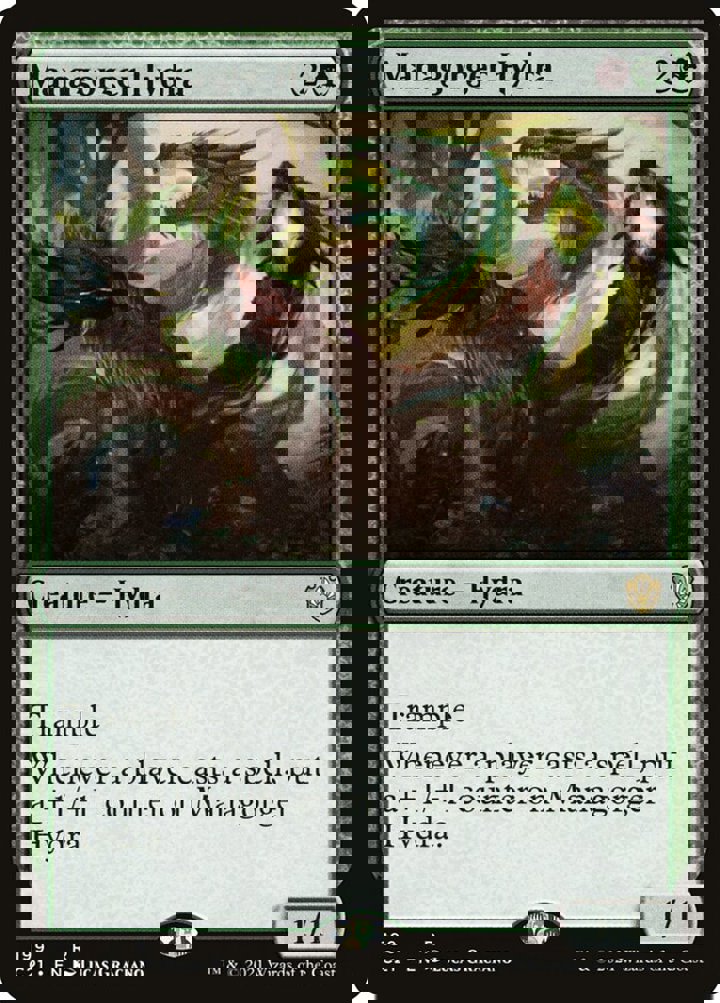 Managorger Hydra