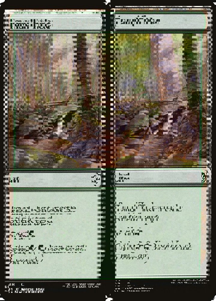 Tranquil Thicket