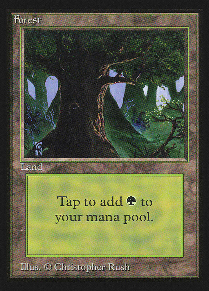 Forest (V.2)
