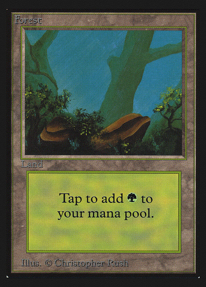 Forest (V.1)