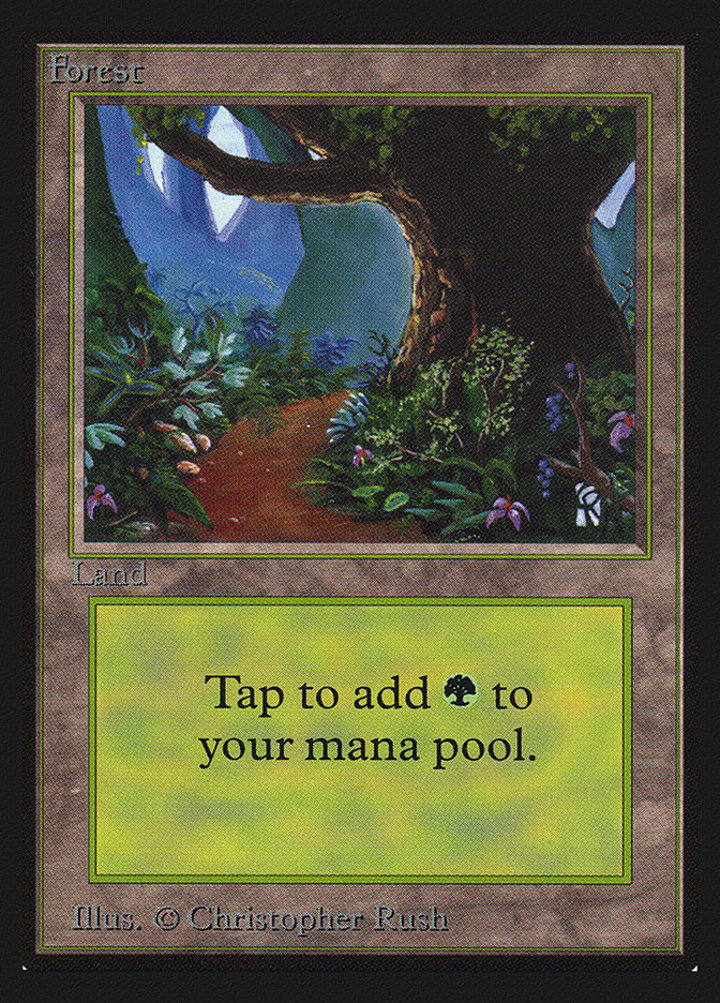 Forest (V.2)