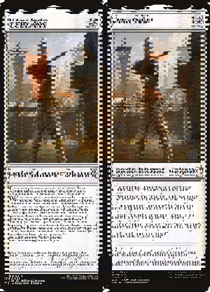 Veteran Soldier