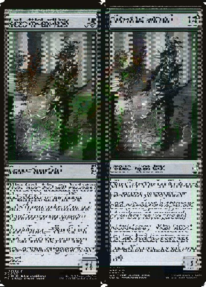 Circle of the Land Druid