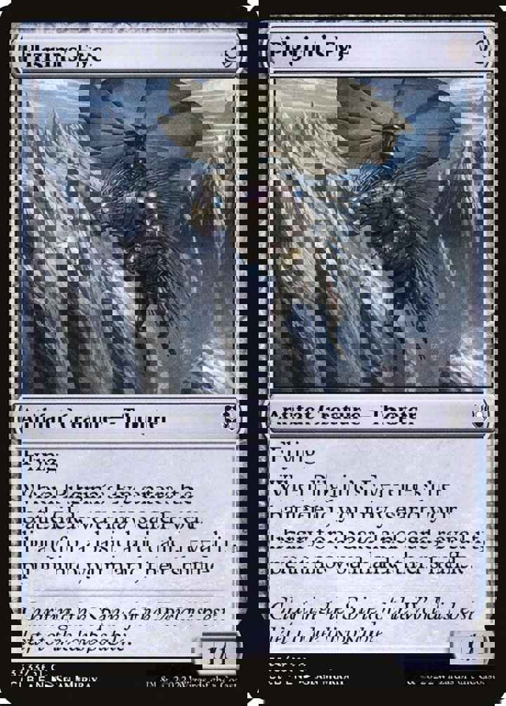 Pilgrim's Eye