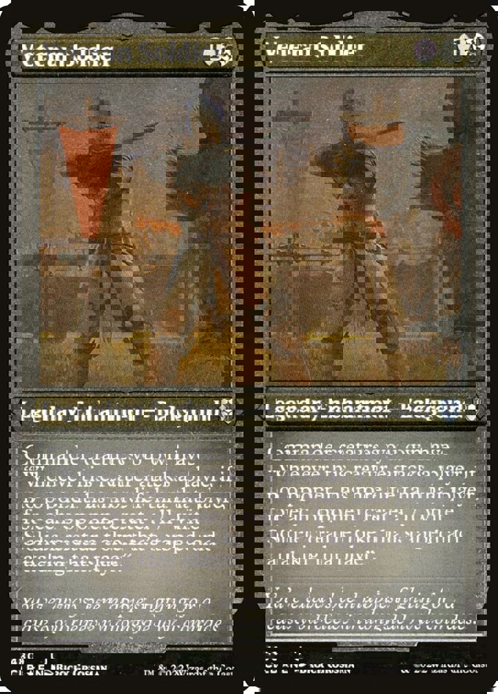 Veteran Soldier (V.1)