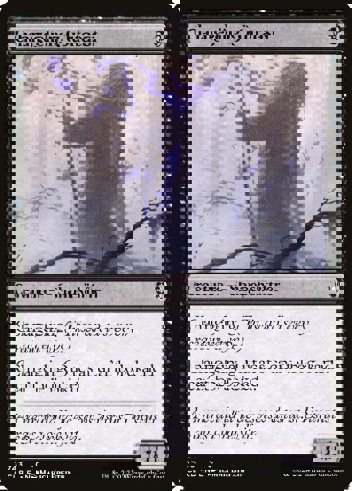 Changeling Outcast