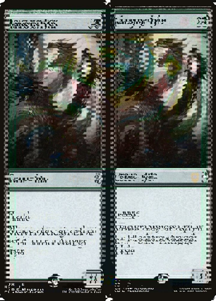 Managorger Hydra