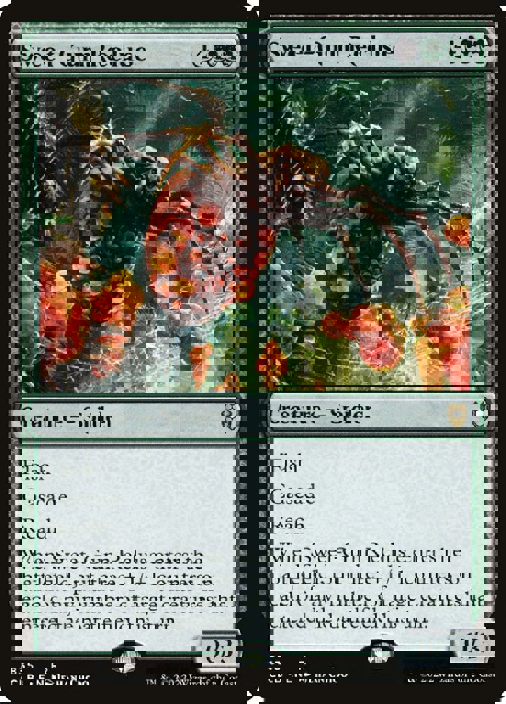 Sweet-Gum Recluse