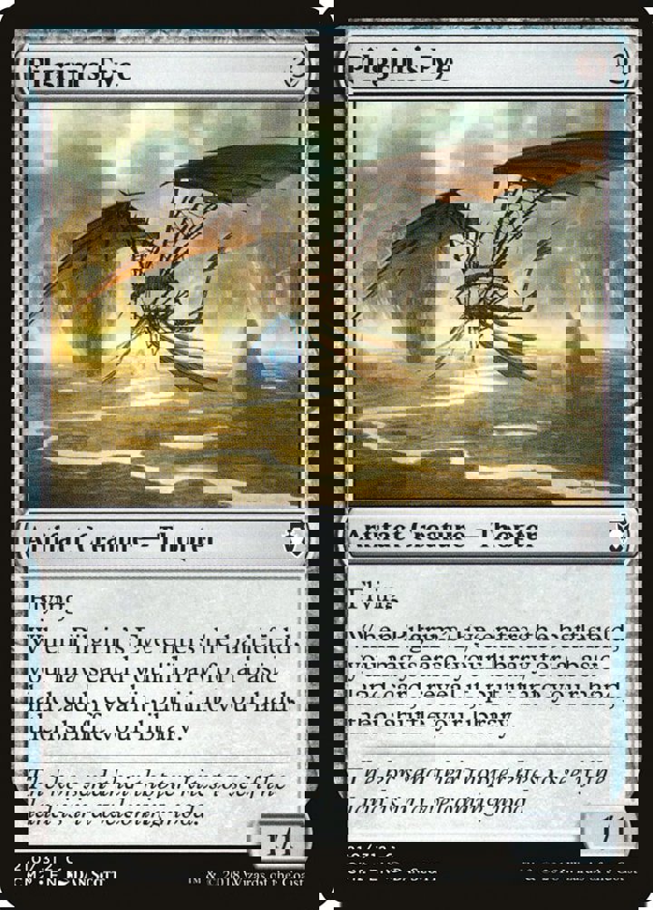 Pilgrim's Eye