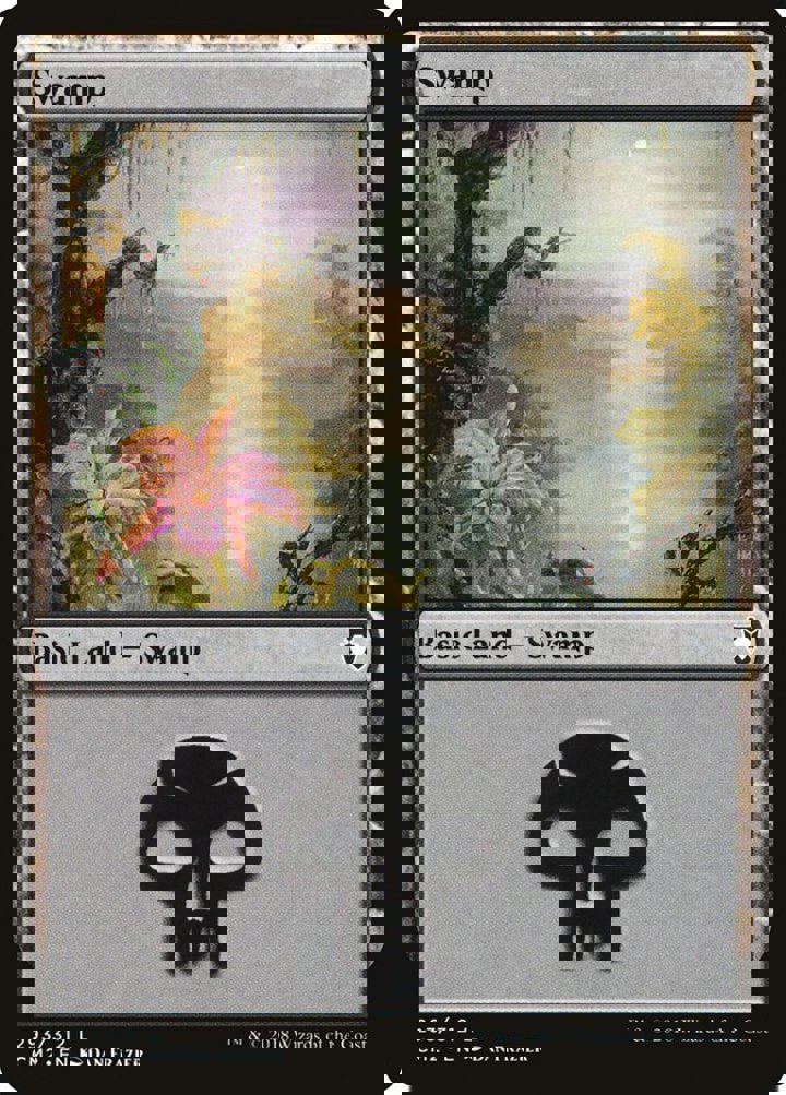 Swamp (V.1)