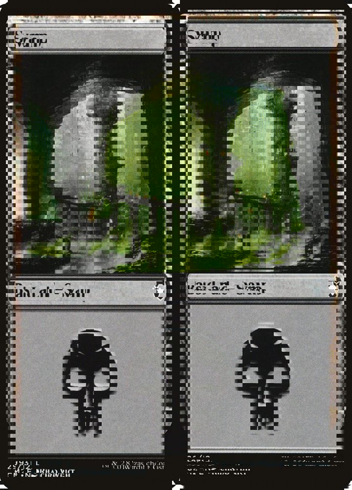 Swamp (V.7)