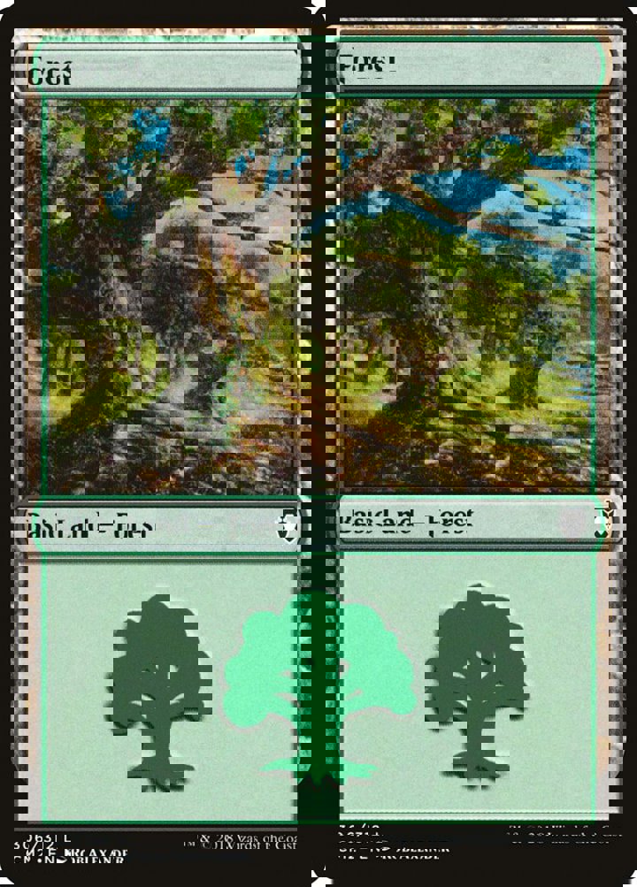 Forest (V.1)