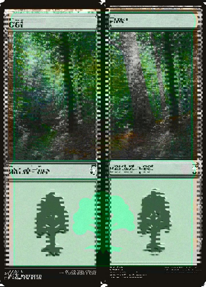 Forest (V.2)