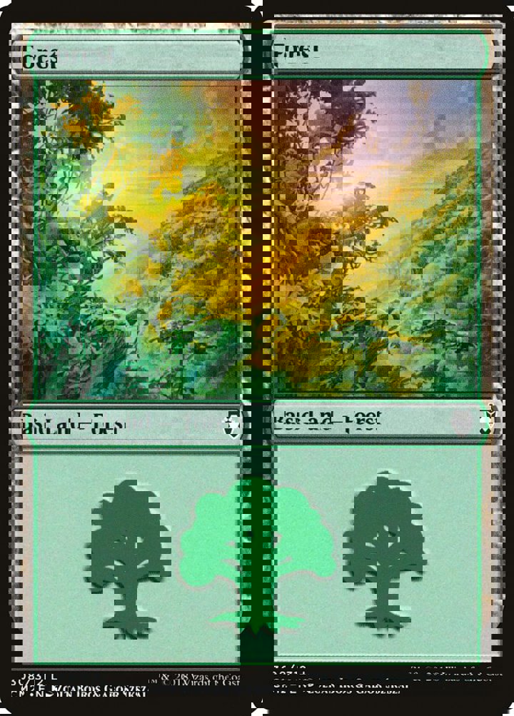 Forest (V.3)