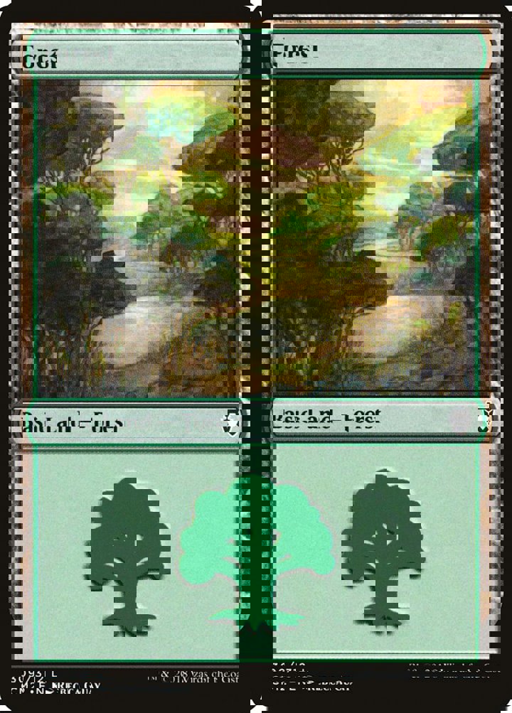 Forest (V.4)