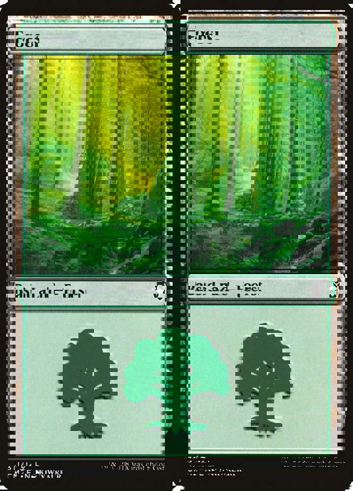Forest (V.6)
