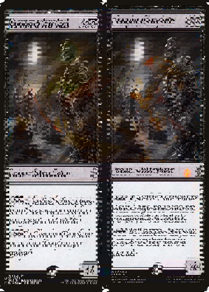 Champion of Stray Souls