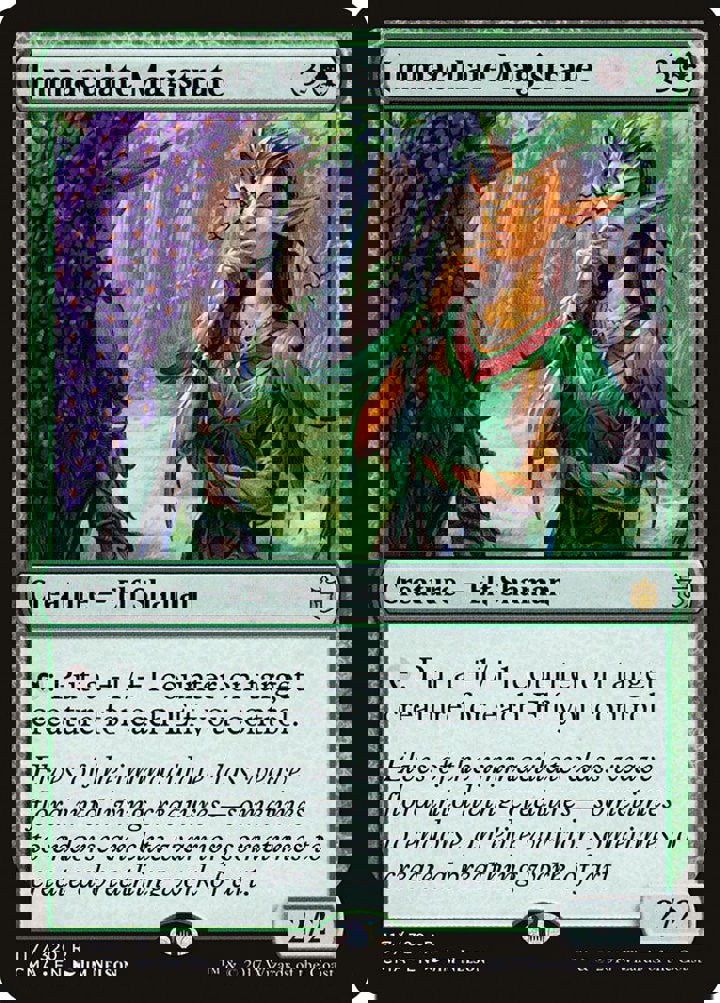 Immaculate Magistrate