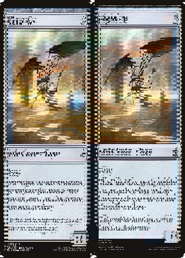 Pilgrim's Eye