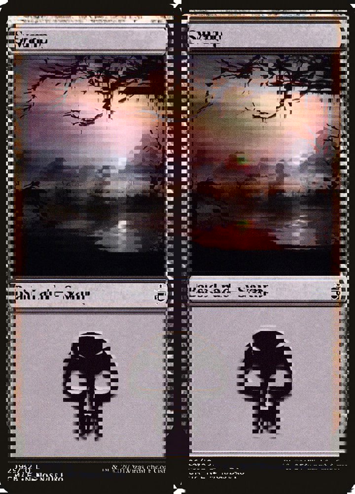 Swamp (V.3)