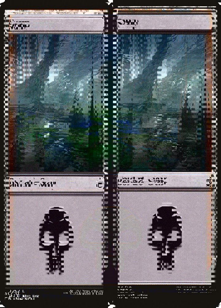 Swamp (V.6)