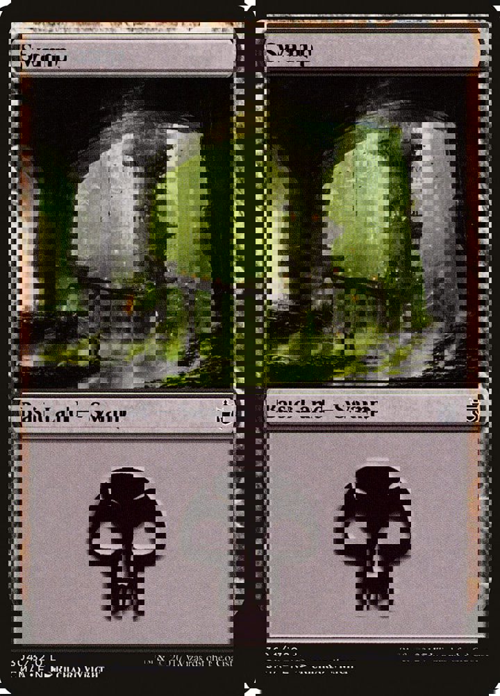 Swamp (V.8)