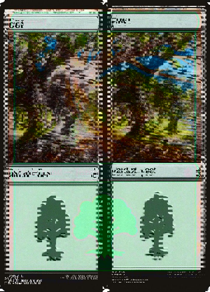 Forest (V.1)