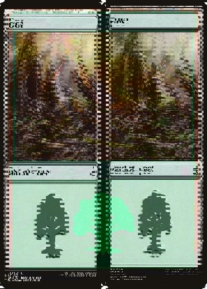 Forest (V.2)