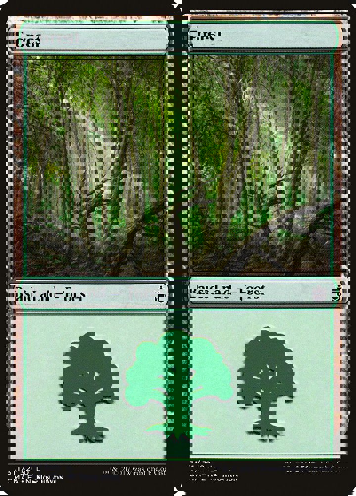 Forest (V.3)