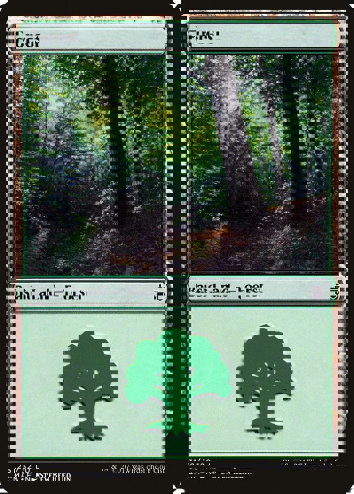 Forest (V.4)