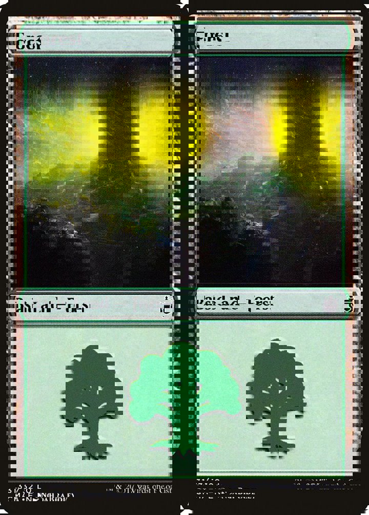 Forest (V.5)