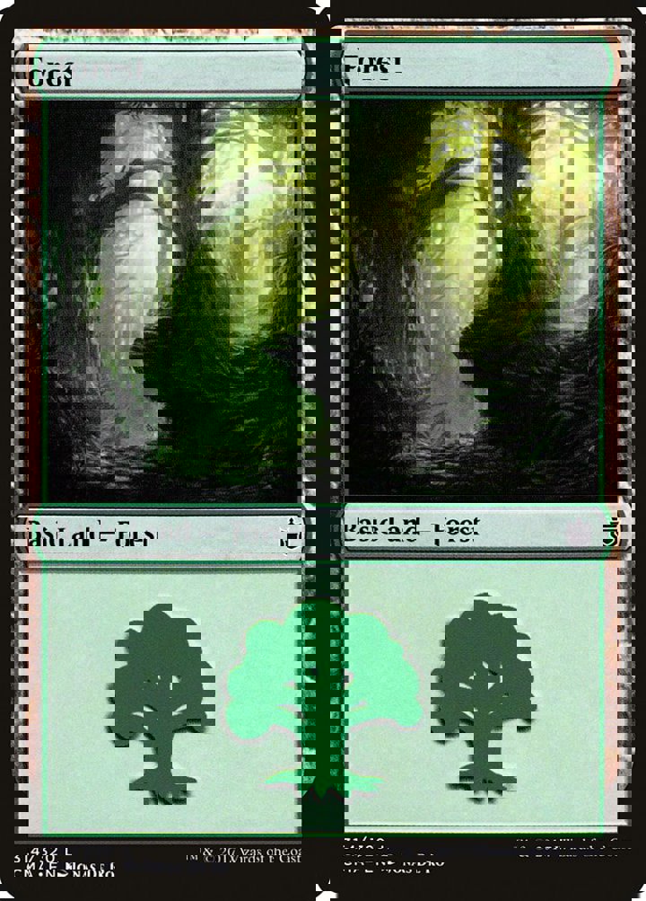 Forest (V.6)