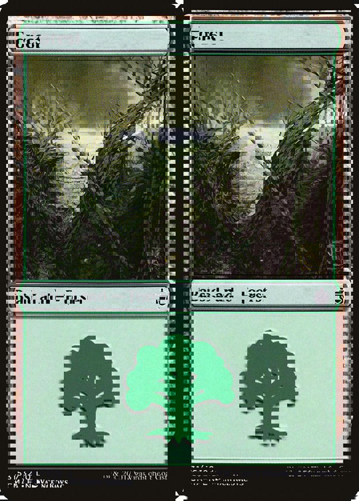 Forest (V.7)