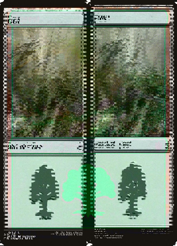 Forest (V.8)