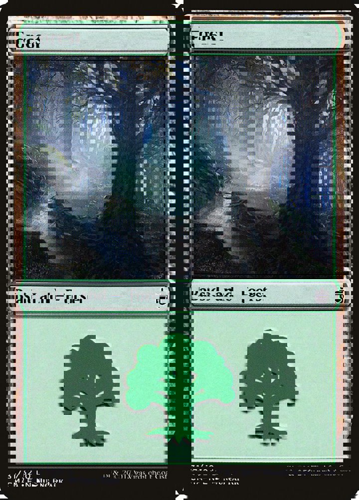 Forest (V.9)