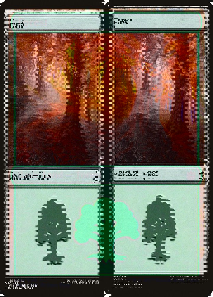 Forest (V.10)