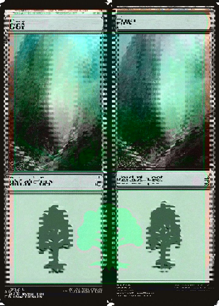 Forest (V.11)