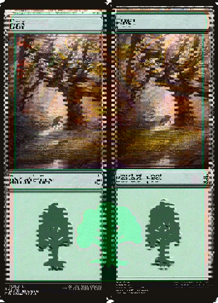 Forest (V.12)