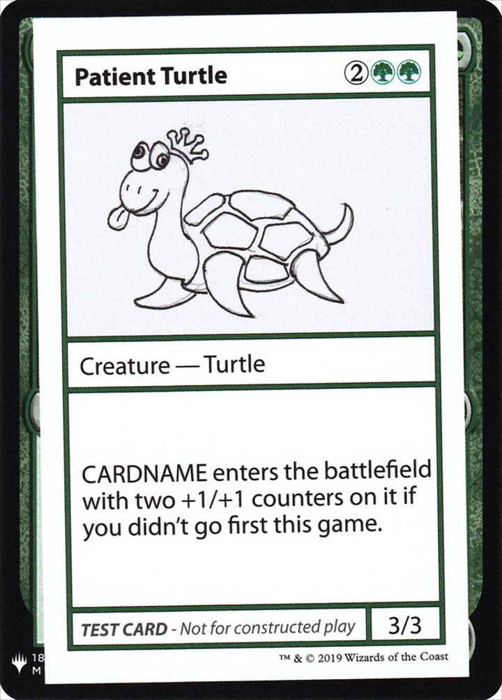 Patient Turtle (V.1)