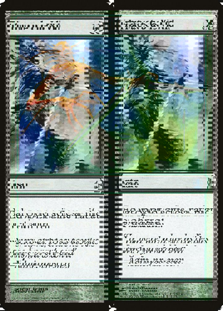Tribute to the Wild