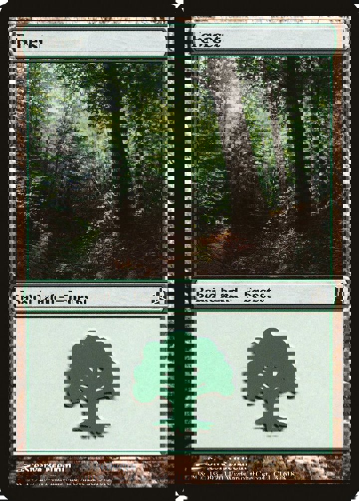 Forest (V.2)