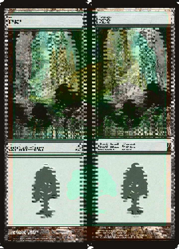 Forest (V.4)