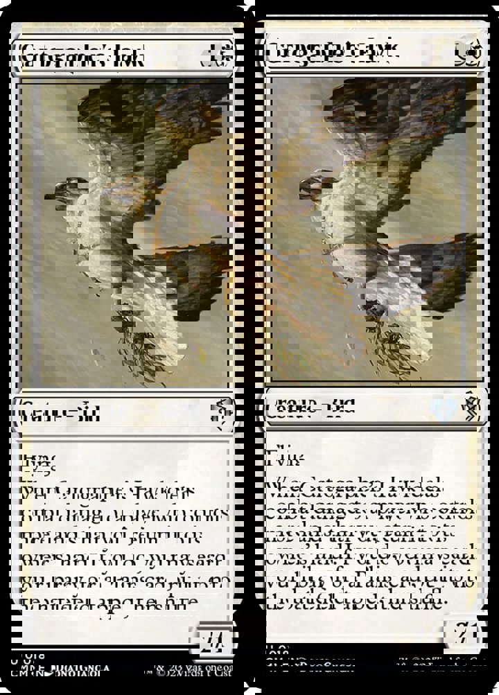 Cartographer's Hawk