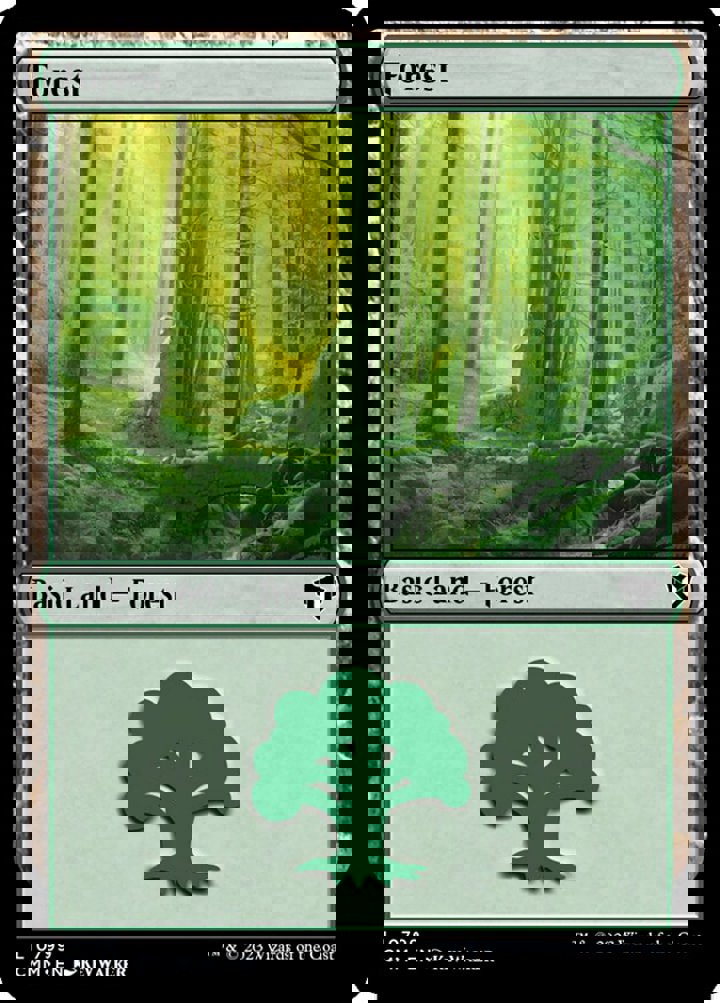 Forest (V.6)