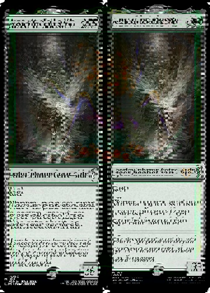 Arasta of the Endless Web